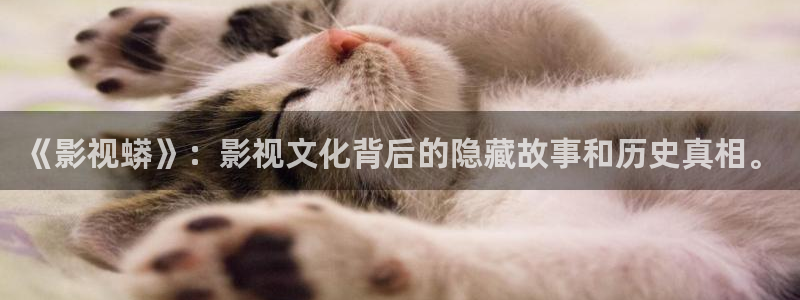 斑马的图片：《影视蟒》：影视文化背后的隐藏故事和历史真相。
