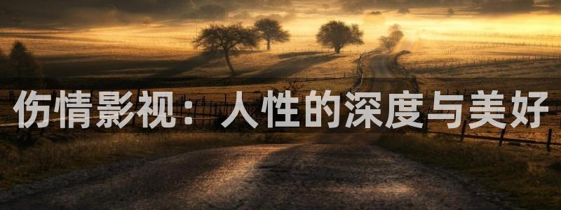 斑马电影大全免费看：伤情影视：人性的深度与美好
