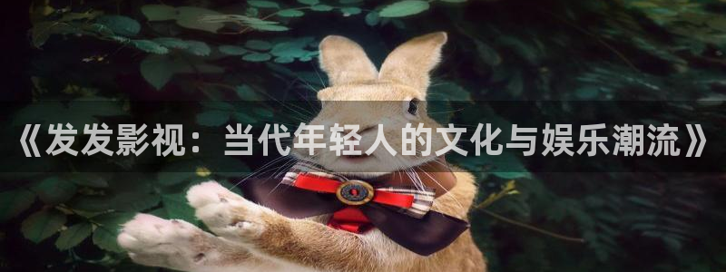 彩色斑马：《发发影视：当代年轻人的文化与娱乐潮流》