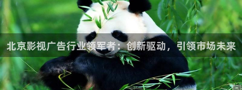 丽江斑马：北京影视广告行业领军者：创新驱动，引领市场未来