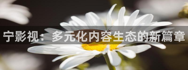 斑马视频免费影视：宁影视：多元化内容生态的新篇章