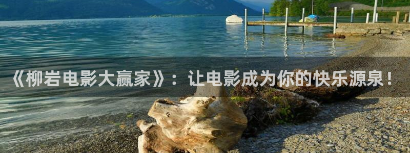 斑马ds8178：《柳岩电影大赢家》：让电影成为你的快乐源泉！
