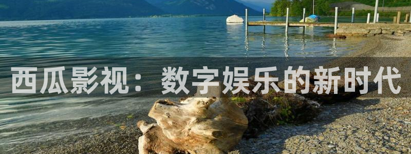 斑马电影一条街：西瓜影视：数字娱乐的新时代