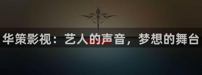 斑马系统版本：华策影视：艺人的声音，梦想的舞台