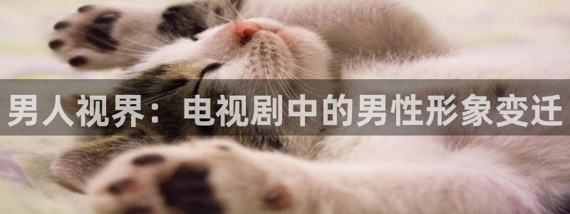 斑马al：男人视界：电视剧中的男性形象变迁